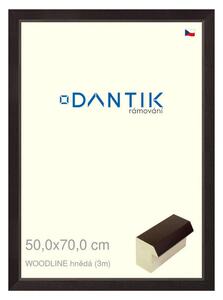 DANTIK rám na obraz 50x70 | WOODLINE hnědá (Plexi Čiré)