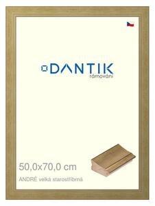 DANTIK rám na obraz 50x70 | ANDRÉ velká starostříbrná (Plexi Čiré)