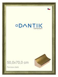 DANTIK rám na obraz 50x70 | Ferrosa zlatá (Plexi Čiré)