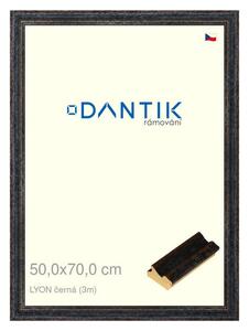 DANTIK rám na obraz 50x70 | LYON černá (Plexi Čiré)