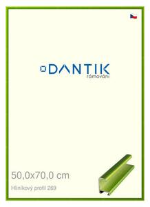 DANTIK rám na obraz 50x70 | ALU Zelená Smaragd broušená (Plexi Čiré)