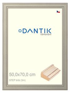DANTIK rám na obraz 50x70 | STEP bílá (Plexi Čiré)