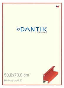 DANTIK rám na obraz 50x70 | ALU Dýha barevná červená třešeň (Plexi Čiré)