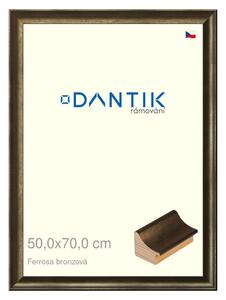 DANTIK rám na obraz 50x70 | Ferrosa bronzová (Plexi Čiré)
