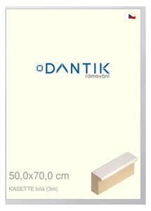 DANTIK rám na obraz 50x70 | KASSETTE bílá (Plexi Čiré)