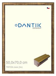 DANTIK rám na obraz 50x70 | TRITON zlatá (Plexi Čiré)