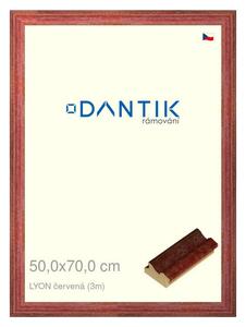 DANTIK rám na obraz 50x70 | LYON červená (Plexi Čiré)