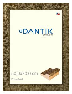 DANTIK rám na obraz 50x70 | Dora Gold (Plexi Čiré)