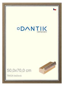 DANTIK rám na obraz 50x70 | TAIGA béžová (Plexi Čiré)