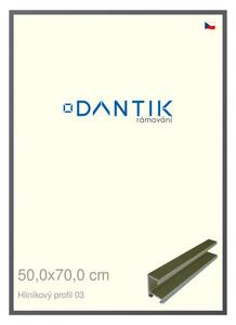DANTIK rám na obraz 50x70 | ALU Platina matná (Plexi Čiré)