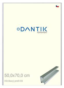DANTIK rám na obraz 50x70 | ALU Stříbrná matná (Plexi Čiré)