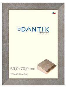 DANTIK rám na obraz 50x70 | TOMAS bílá velká (Plexi Čiré)