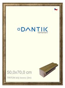 DANTIK rám na obraz 50x70 | TRITON bílý bronz (Plexi Čiré)