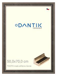 DANTIK rám na obraz 50x70 | TOOTH malá stříbrno černá (Plexi Čiré)