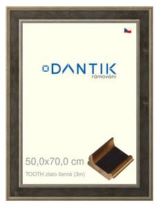 DANTIK rám na obraz 50x70 | TOOTH zlato černá (Plexi Čiré)
