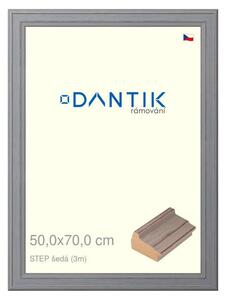 DANTIK rám na obraz 50x70 | STEP šedá (Plexi Čiré)