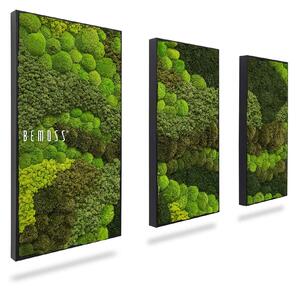 Machový set obrazov BEMOSS® ORTHO VERDIA TRIO - 40 x 80 cm