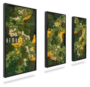 Machový set obrazov BEMOSS® ORTHO YELLOW - 40 x 80 cm