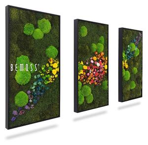 Machový set obrazov ACEBO - 40 x 80 cm