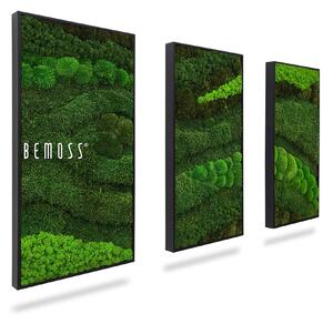Machový set obrazov BEMOSS® ORTHO TOCÓN - 40 x 80 cm