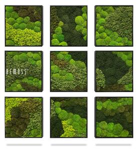 Machový set obrazov BEMOSS® ORTHO VERDIA Mosaic - 40 x 40 cm