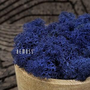 Stabilizovaný mach Lišajník CLASSIC BLUE - 1000g