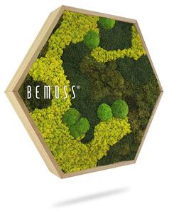 Machový Hexagon BEMOSS® ORTHO BORJA mono - Priemer 30 cm (v najširšom mieste šesťuholníka)