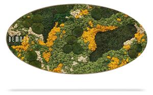 Machový obraz Elipsa BEMOSS® ORTHO YELLOW - 50 x 100 cm
