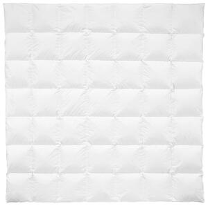 CELOROČNÁ PRIKRÝVKA, 200/200 cm, páperie Billerbeck - Prikrývky & vankúše