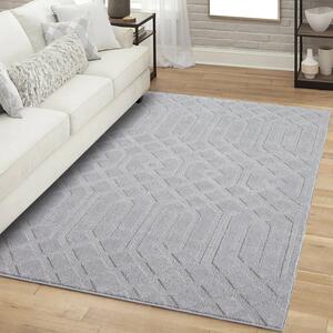 Dekorstudio Moderný koberec do obývačky FLAIR 138 - sivý Rozmer koberca: 160x230cm