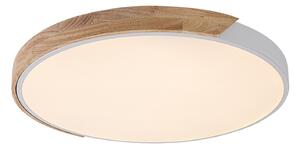 Stropné svietidlo LED 3000 / 4000 / 6500K biela, drevo IP20 Rabalux MAPLE2 71419