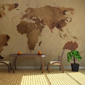 Fototapeta mapa sveta v hnedom prevedení - Tea map of the World