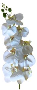 Umelá vetva orchidey Real Touch 97 cm – biela - Biela - 91 - 120 cm
