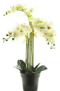 Umelá biela orchidea 60 cm – v kvetináči - Biela - 51 - 70 cm