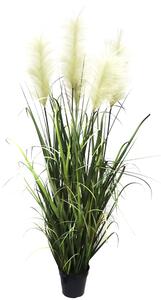 Umelá pampasová tráva 127 cm – v kvetináči - 121 - 150 cm