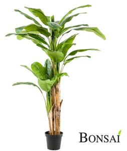 Umelý banánovník 200 cm v kvetináči - 201 - 230 cm