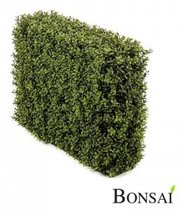 Umelý živý plot šimšir 70 cm s UV ochranou - 31 - 50 cm
