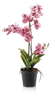 Umelá orchidea Vanessa 70 cm – mix ružová - Ružová - 51 - 70 cm