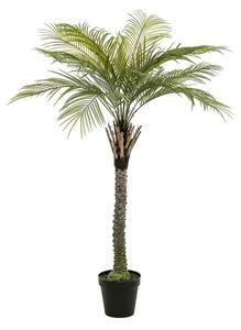 Umelá palma 260 cm - 231 - 260 cm
