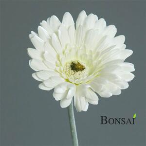 Umelá gerbera biela 56 cm - elegantná dekorácia