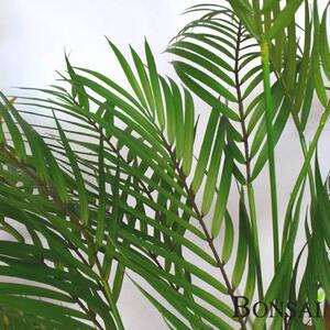 Umelá palma Areka 120 cm – exotická dekorácia