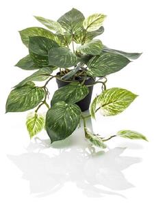 Umelá rastlina Scindapsus 55 cm v kvetináči – realistická dekorácia - 51 - 70 cm