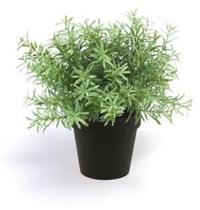 Umelý rozmarín v kvetináči 22 cm – aromatická dekorácia - 0 - 30cm