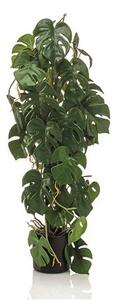 Umelá monstera 75 cm v kvetináči – realistická dekorácia - 71 - 90 cm