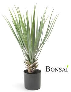 Umelá palma Juka 52 cm – realistická dekorácia - 51 - 70 cm
