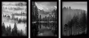 Obrazy v súprave 3 ks 35x45 cm Black & White – Wallity