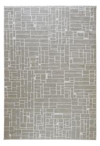 Sivo-béžový koberec 60x110 cm Jaipur – Webtappeti