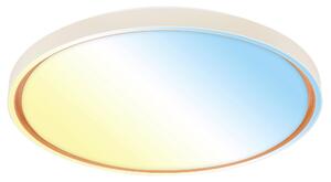 STROPNÉ LED SVIETIDLO, 49,5/6,5 cm - Interiérové svietidlá