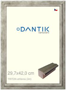 DANTIK rám na obraz 29,7x42 | TRITON stříbrná (Plexi Čiré)