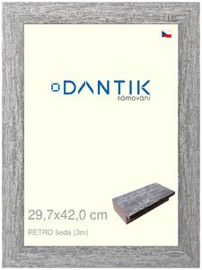 DANTIK rám na obraz 29,7x42 | RETRO šedá (Plexi Čiré)